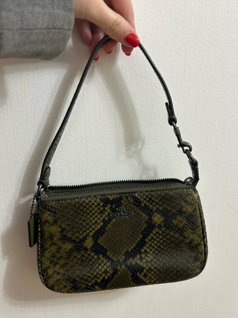 Coach Mini Snake-Print Shoulder Bag in Olive Green